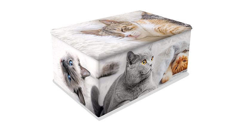 CAT03-URN Cats Classic