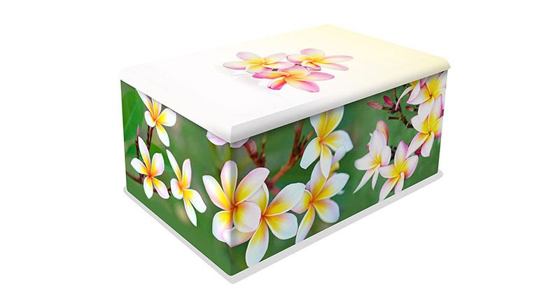 FLO06-URN Frangipani