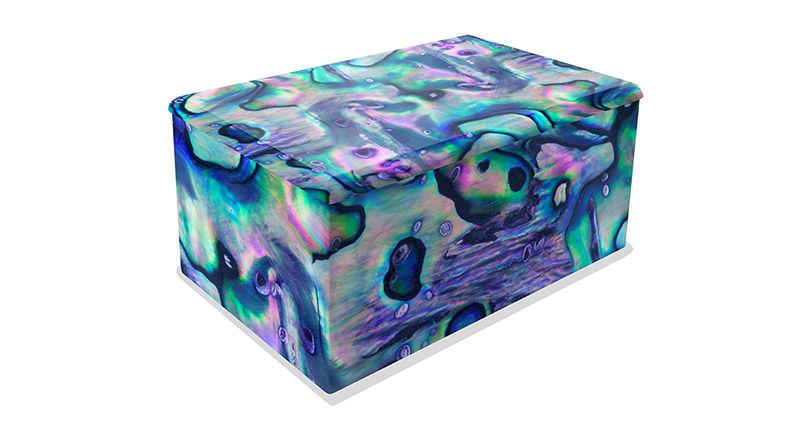 PAU01-URN Paua